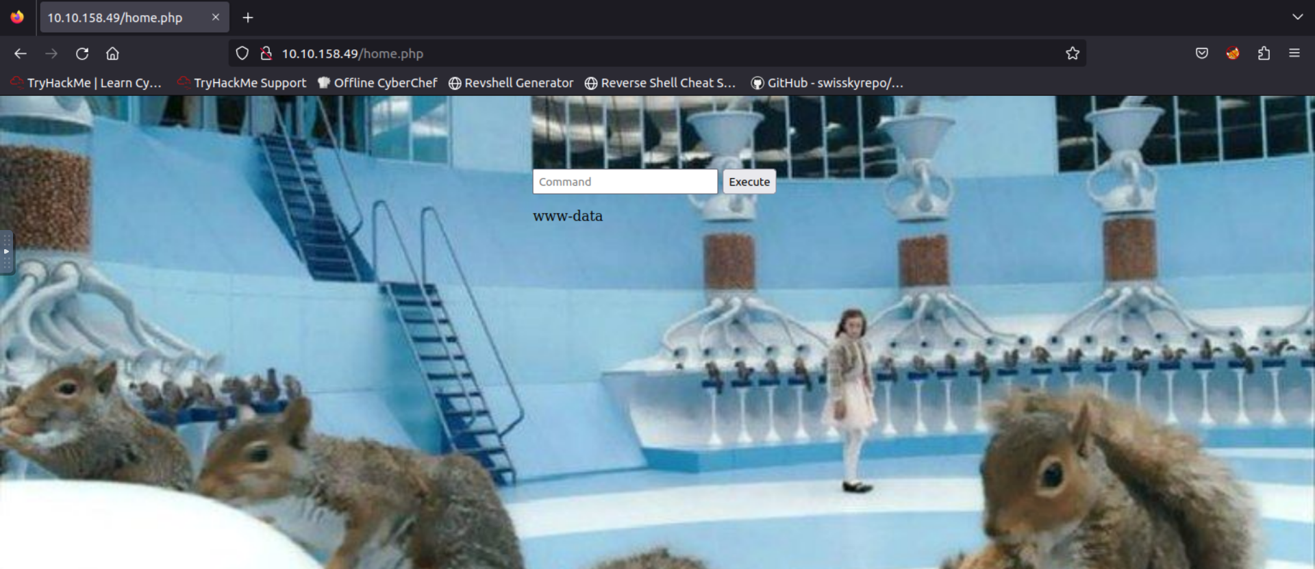 Home Page